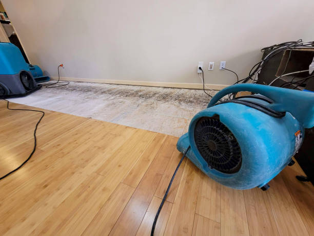 Professional Flood Damage Cleanup technician working in Hallandale, FL
